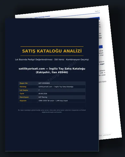 Satış Kataloğu Analizi — Tüm Katalog